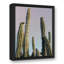 Grand cactus sur toile-1168364086-1169974991