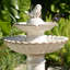 Bain d'oiseaux fontaine-1545641469