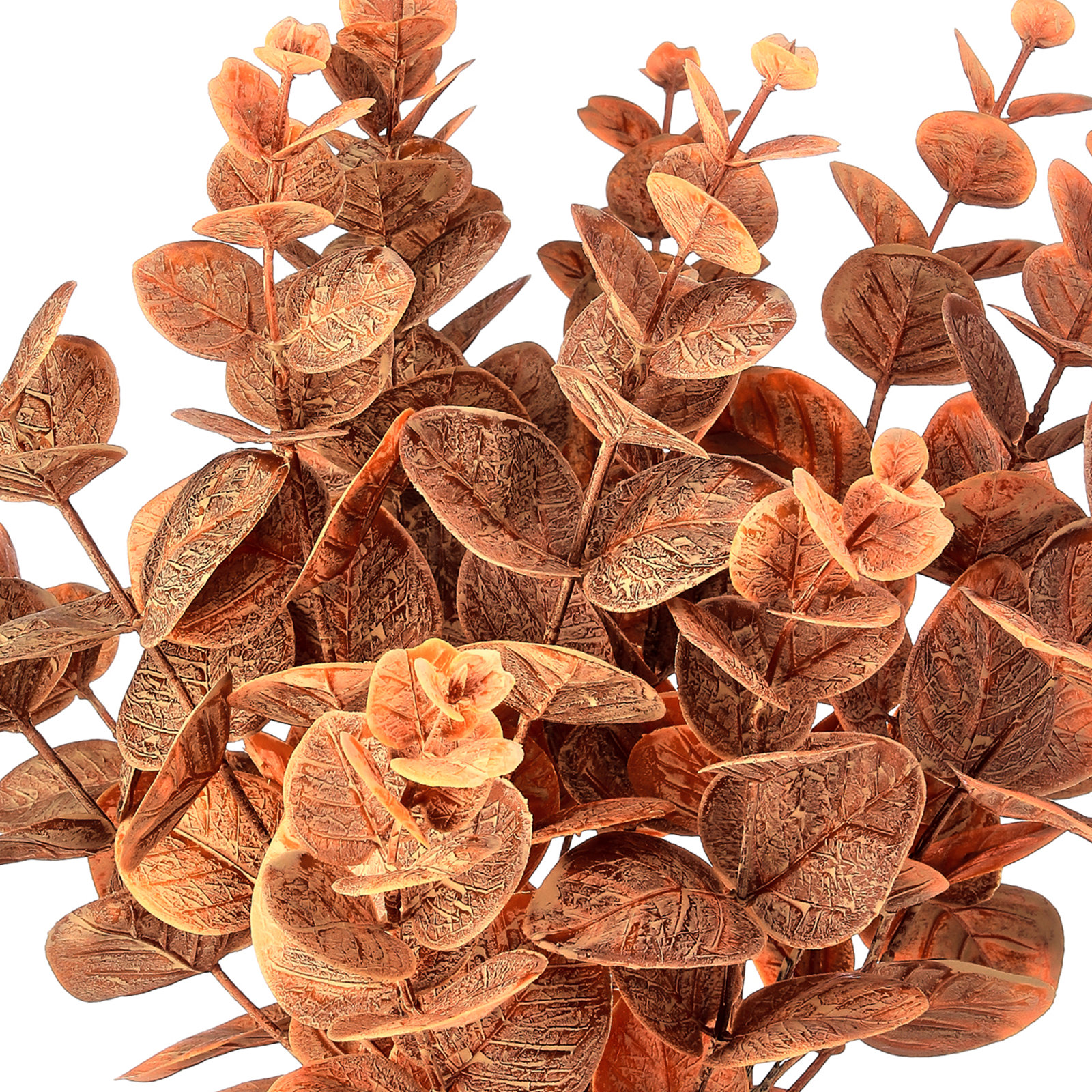 Autumn Eucalyptus Stems, Nutmeg