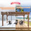 Pergola en bois massif-102902323