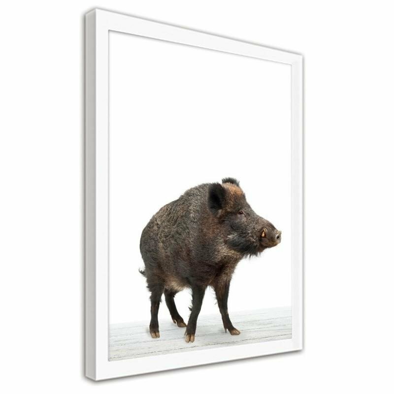 Gerahmter Fotodruck Wildschwein