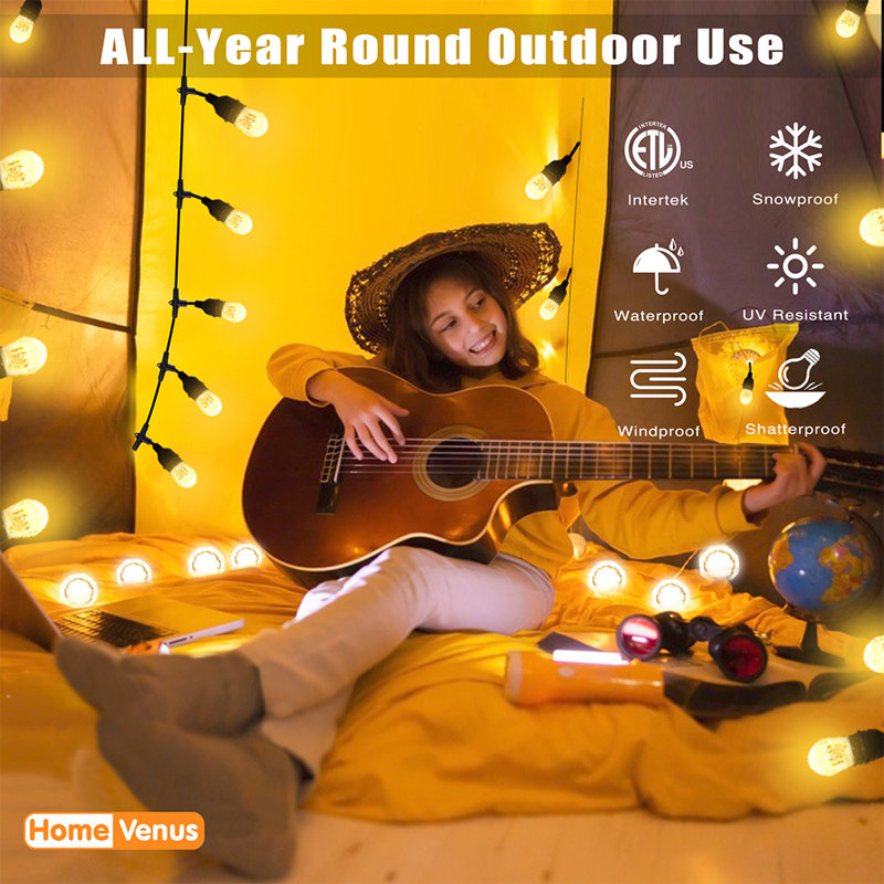 Indoor 30 - Bulb 720'' Plug-in LED Novelty String Light