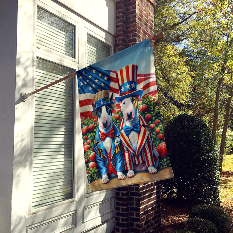Drapeau «All American House», Bull-terrier