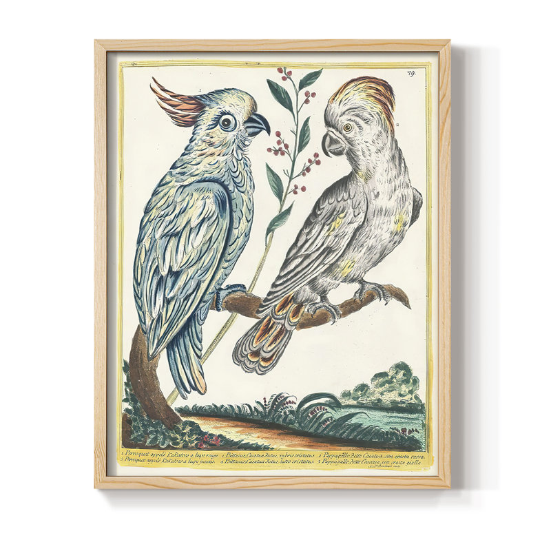 «Pastel Birds I», reproduction encadrée - bois massif