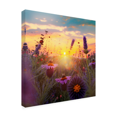 Landscape Flowering Fields 6 On Canvas Photograph