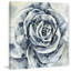 Timeless Rose - reproduction sur toile-592444583