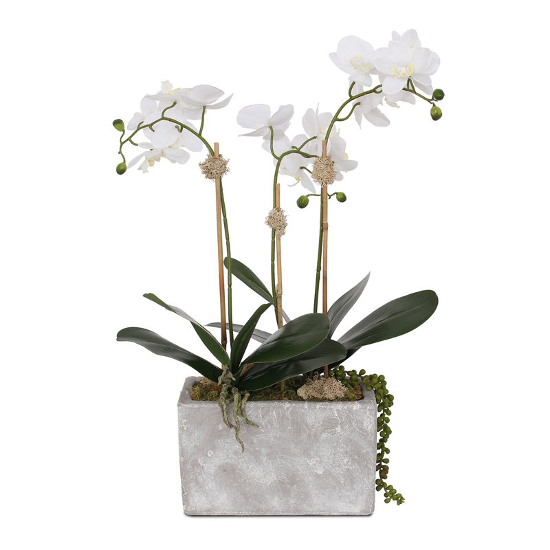 Real Touch Silk Phalaenopsis Orchids And Leaves With String Of Pearls In Wash Stone Pot