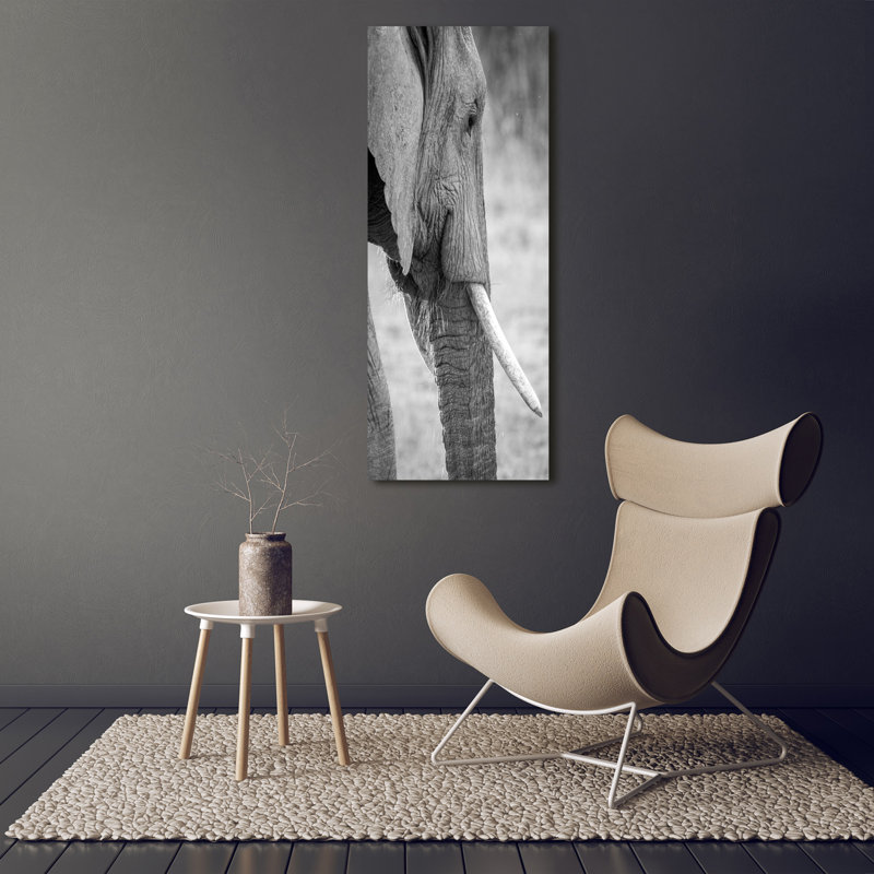 Elephant - Wrapped Canvas Print