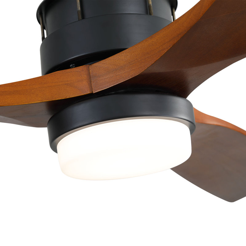 Nicola 60" 3 - Blade LED Standard Ceiling Fan with Remote Control and Light Kit Included, Matte Black/Dark Brown