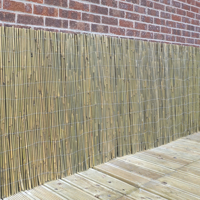 Caila 19 cm H x 29 cm W Bamboo, 78cm H x 157cm W x 2cm D