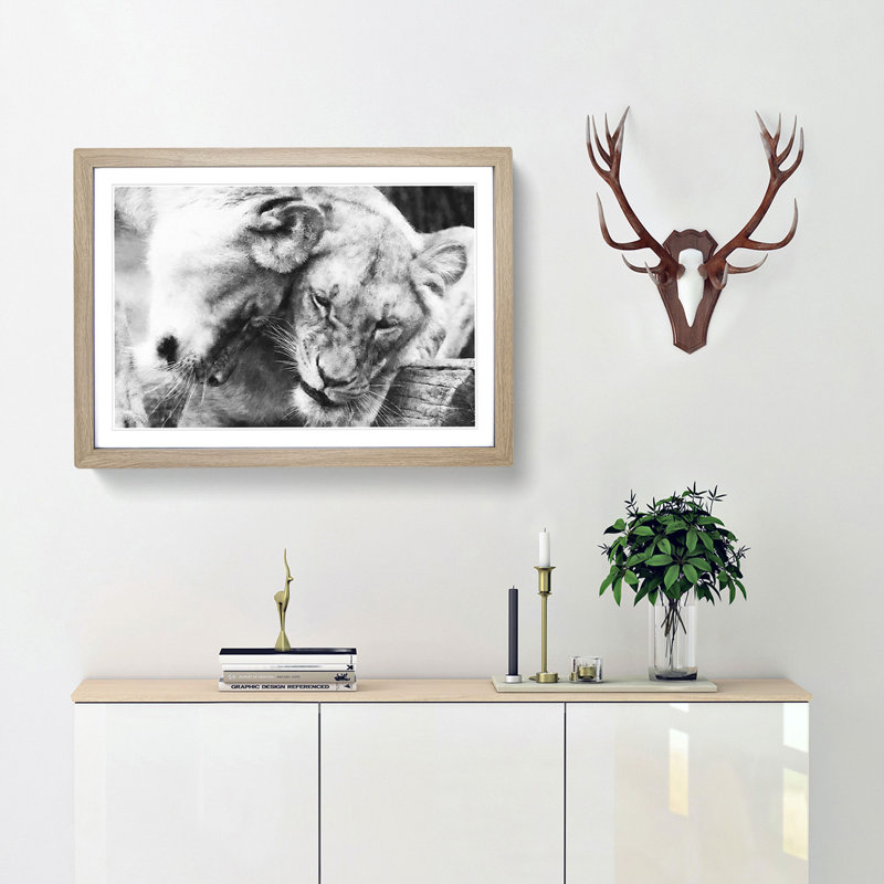 Two Snuggling Lions - Single Picture Frame Print on MDF, 62cm H x 87cm W x 2cm D, Oak