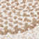 Launcelot Indoor Rug