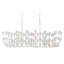 Hinkley Flora Linear Chandelier-349048498