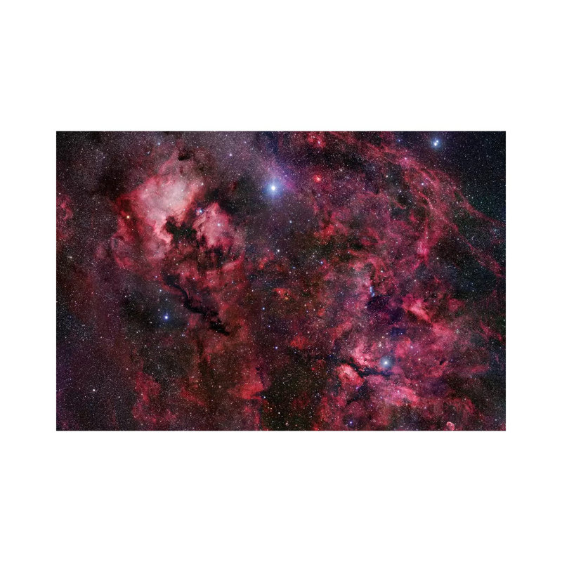 Cygnus Mosaic I 1 Piece Wrapped Canvas Wall Art, 152.5 cm H x 101.5 cm W