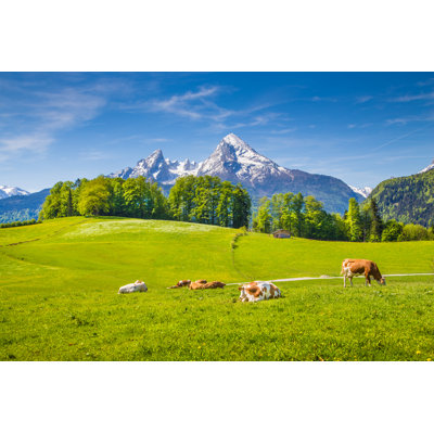 Cows In Summer - Wrapped Canvas Print