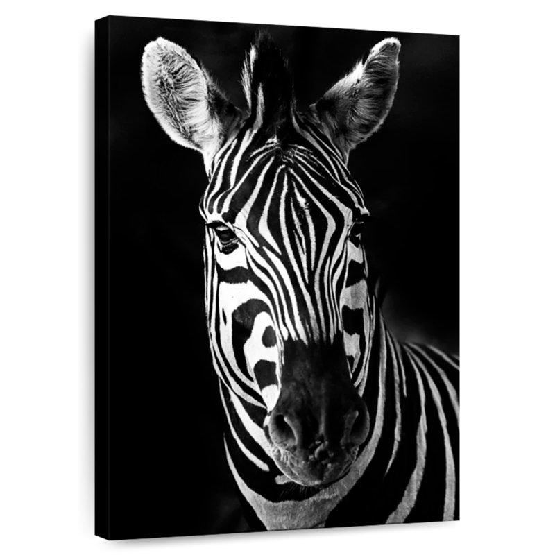 Brampt Serious Zebra, 24" H x 16" W