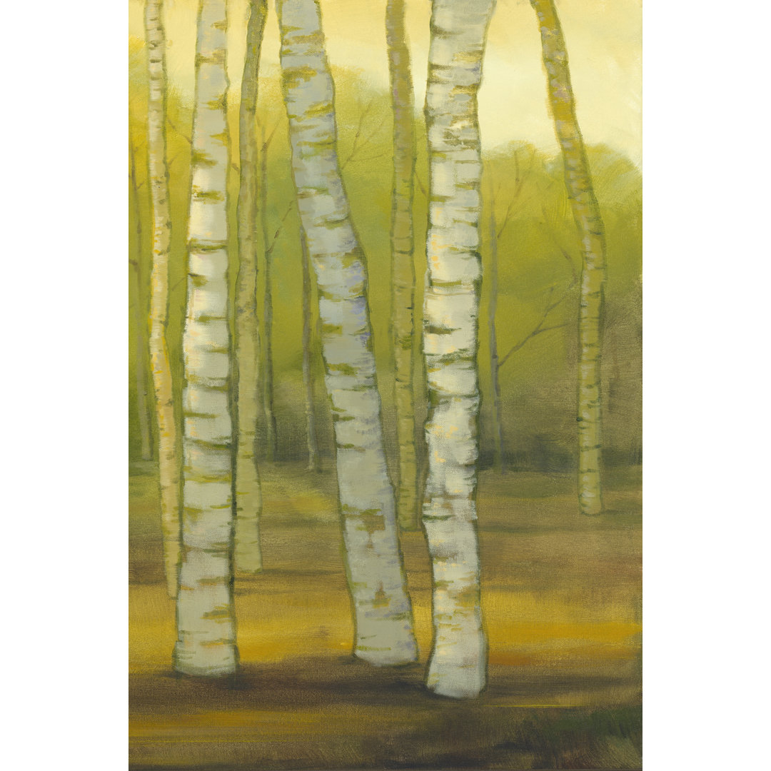 Leinwandbild Sunny Birch Grove II