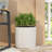 PLANTER-2084437349