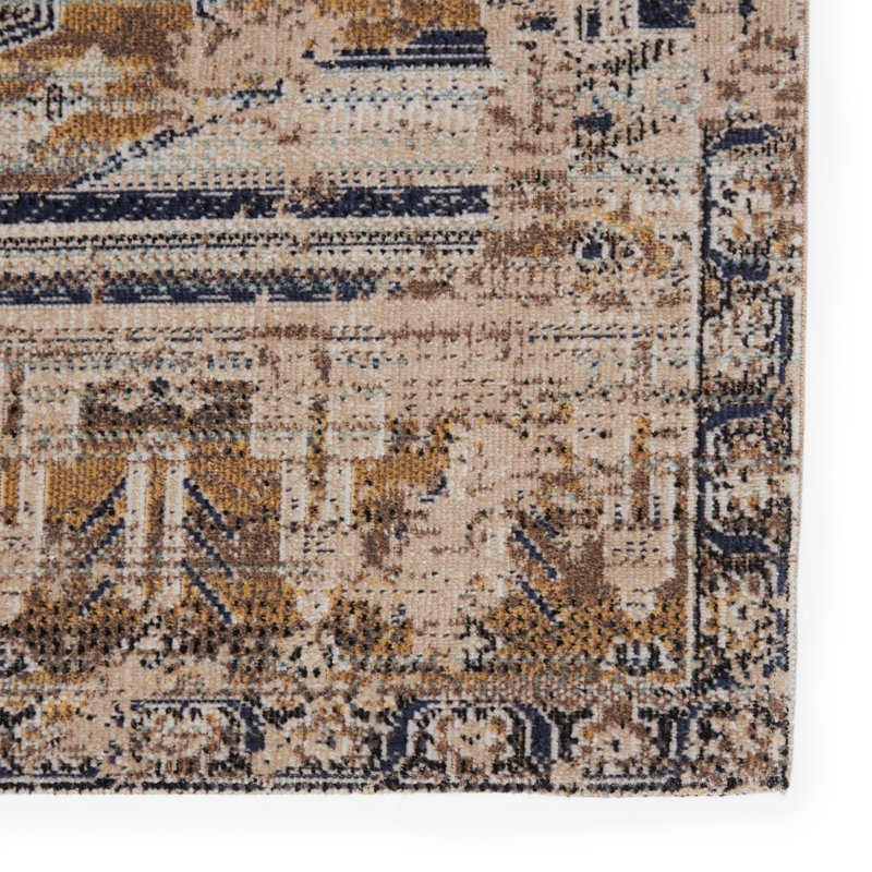 Haden Oriental Indoor/Outdoor Area Rug, Rectangle 8'10" x 12'