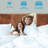 Harmony Solid Wood Bed Frame Platform Style with Sculpted Headboard, Mid-Century Modern, No Box Spring Needed, Smart Tools Assembly, 800 lbs Capacity-127582611-127582622