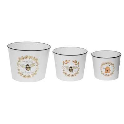 Gracie Oaks Decorative Bin