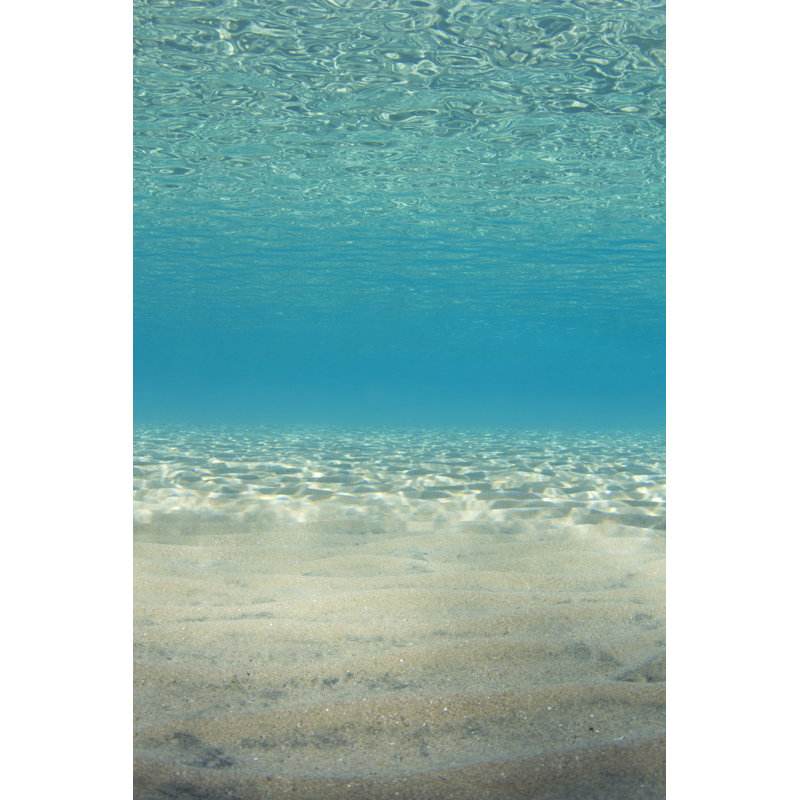 Ocean Floor by JovanaMilanko - Wrapped Canvas Print, 76cm H x 51cm W x 3.8cm D
