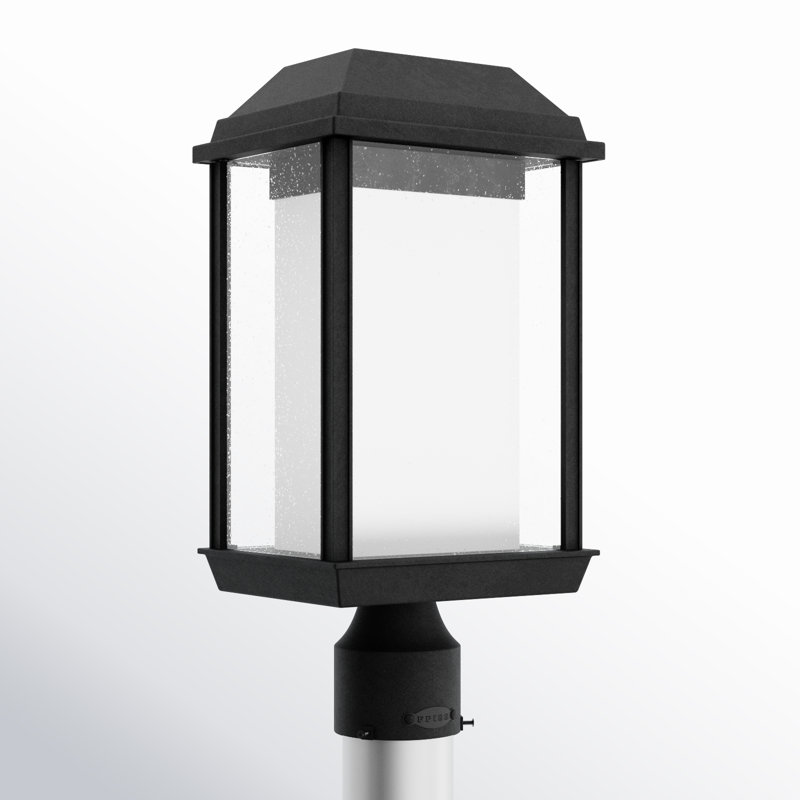 Adonis Seeded Lantern Head