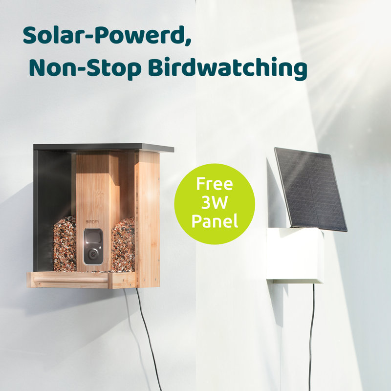 Mangeoire à oiseaux avec caméra solaire Birdfy - bambou sans vie Ai