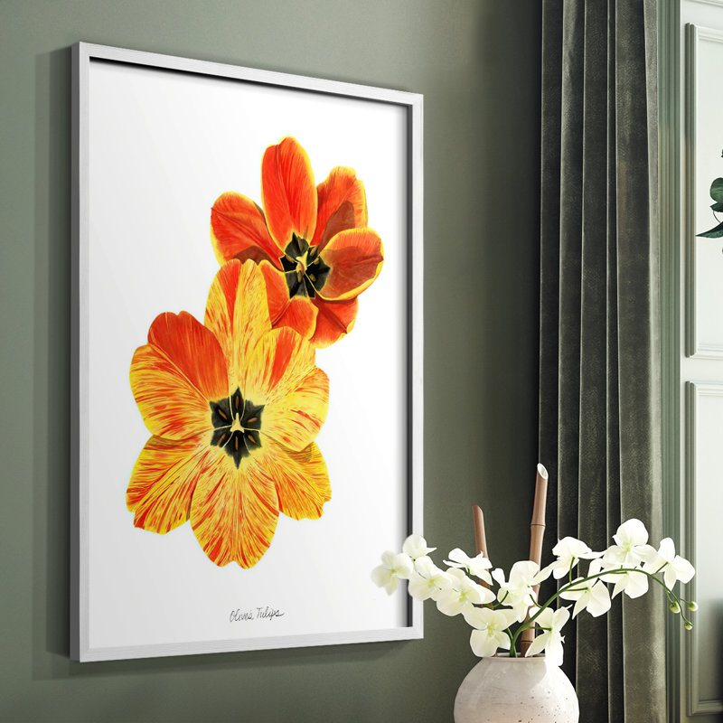 «Olive's Tulips II», reproduction encadrée - bois massif, Blanc, H 10 po x l 8 po