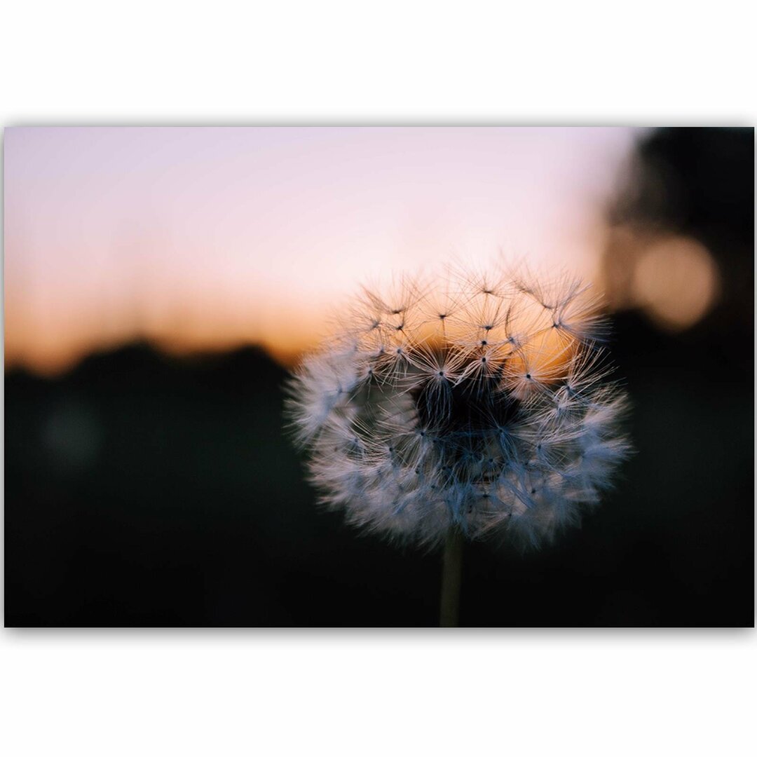 Leinwandbild One of Dandelion