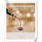 Dashawna Stainless Steel Bottle Stopper