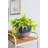 Ceramic Pot Planter-675231635