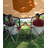 12X12 Ft Pop-Up Screen Tent Gazebo, Instant Shade Camping Canopy With 6 Removable Privacy Panels, 210D Oxford Fabric For Patio, Backyard & Lawn