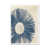 White Framed Paper Print