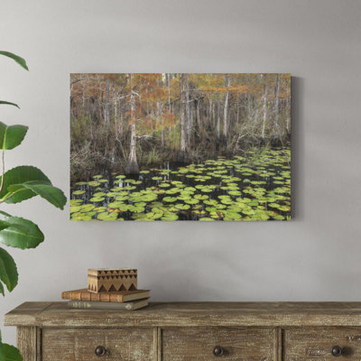 " Bayou Autumn " by Danny Head