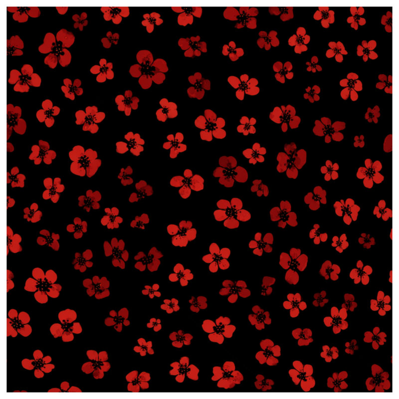 Red Floral Pattern Quilted Bedspread All Sizes, Queen