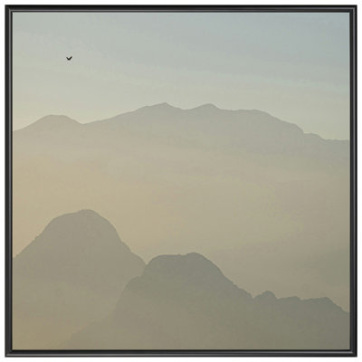 16x16 Picture Frame Black Metal II Style AF735-PI , 0.375 Inch Metal Moulding , Includes Acrylic and Backing , Wall Display Frame for Art, Posters, or Photos , Frame USA