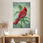Brampt, cardinal de Virginie-108381648