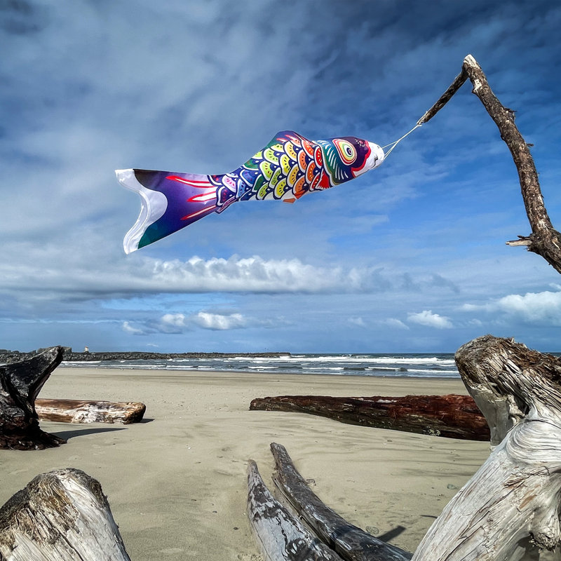 Spectrum Koi Fishsock, 60" H x 13" W, Purple/Green/Yellow