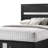 Smartt Panel Storage Bed-800696755-701453362
