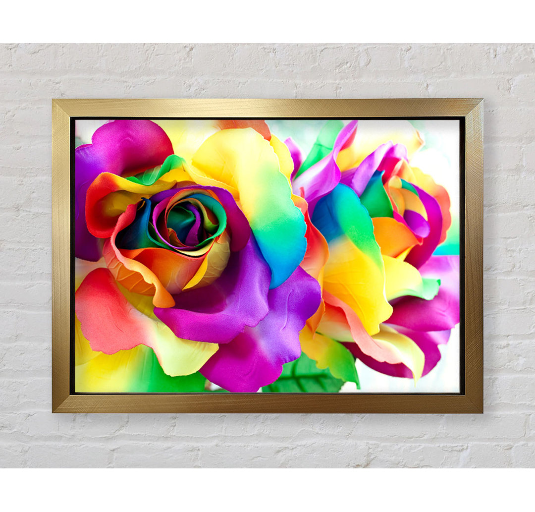 Multi Coloured Roses Close - Bilderrahmen Kunstdrucke