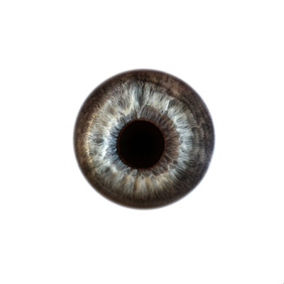 Elena Kulikova Eye See Blue Sky