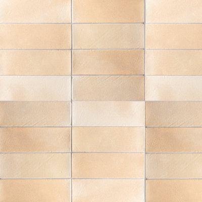 Rena 2X6 Desert Matte