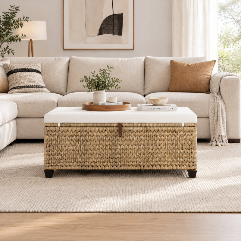 Banc de rangement capitonné en osier avec couvercle rabattable pour chambre, salon, entrée