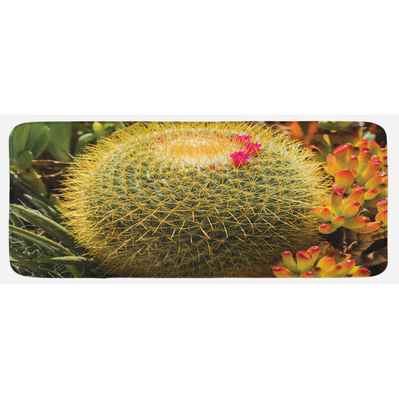 Tapis de cuisine cactus