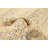Sienna Cream Rug 5'6" x 7'10"