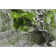 Premium Machine Washable Cerrito AMF503 Green Rug