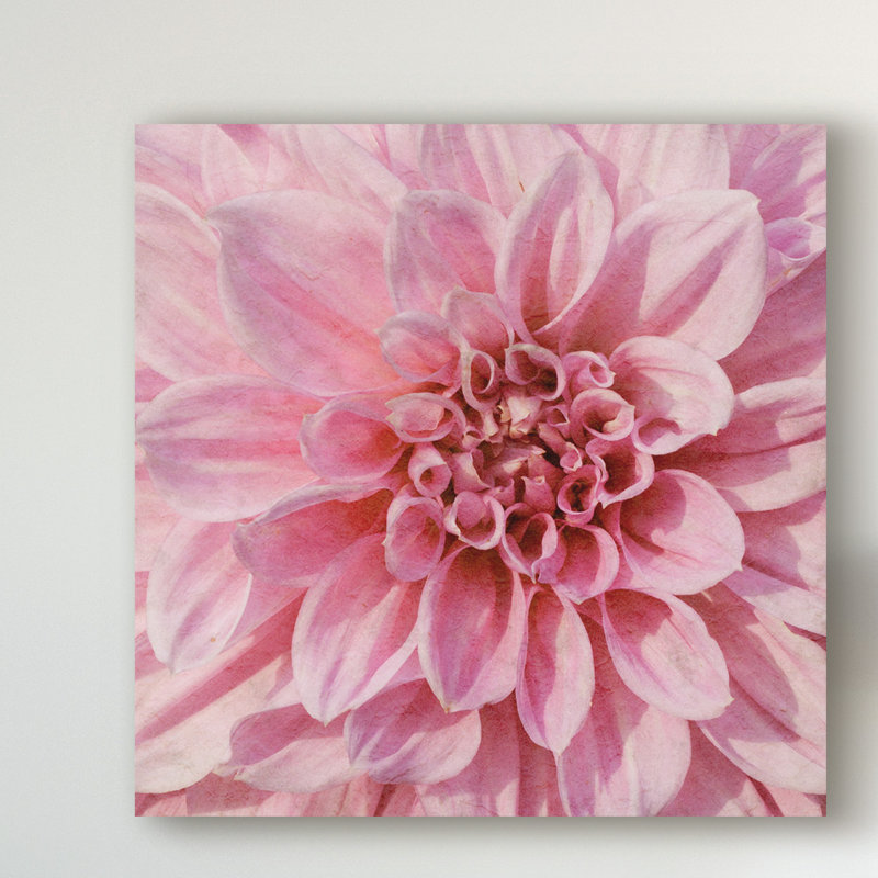 « wall fleur vii », photographie sur toile tendue, H 35 po x l 35 po x P 2 po