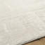 Hurley Oriental Area Rug-922677234