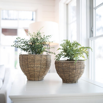 Handmade Pot Planter